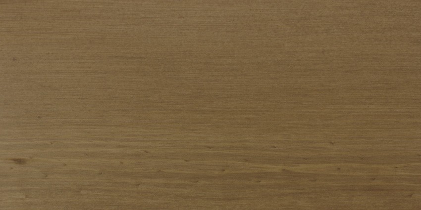 ольха капучино